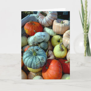 Festividades Cartão de saudação colorido para abóboras