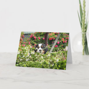 Festividades Cartão de saudação da Nação Berner