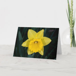 Festividades Cartão de saudação Daffodil