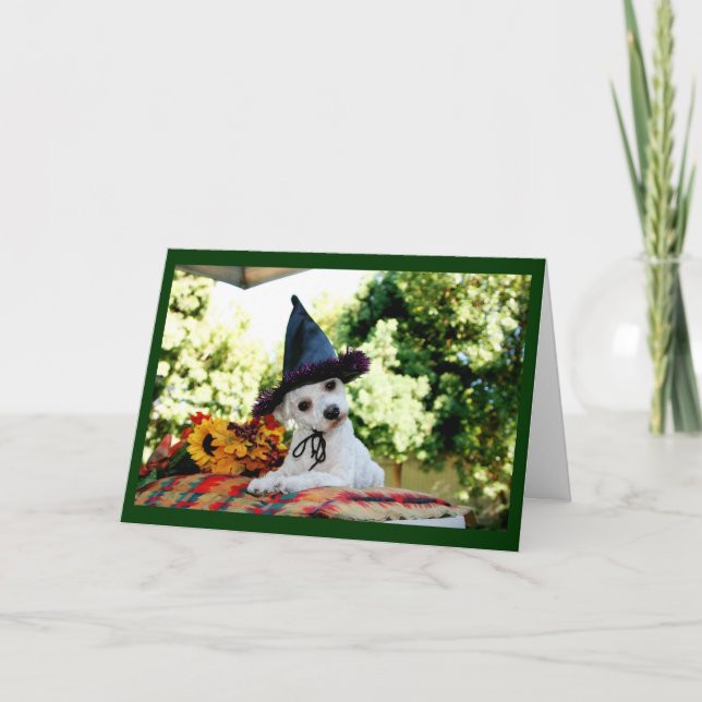 Festividades Cartão de Saudação de Cachorro Feliz de Ação de Gr (Frente)