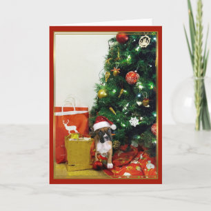 Festividades Cartão de saudação de cão de boxe de Natal