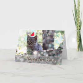 Festividades Cartão de saudação de feliz ano novo, Kitten Padrã
