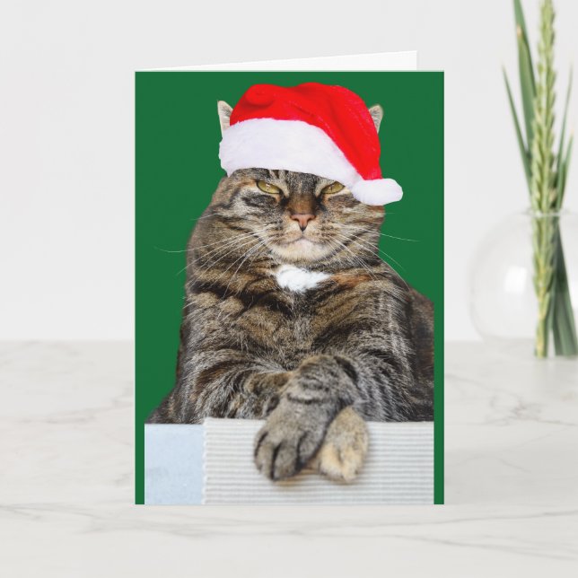 Festividades Cartão de Saudação de Foto de Gato de Natal (Frente)