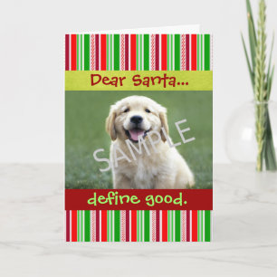 Festividades Cartão de Saudação de Foto para Cachorro Bonito