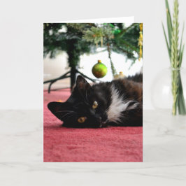 Festividades Cartão de Saudação de Gato de Natal