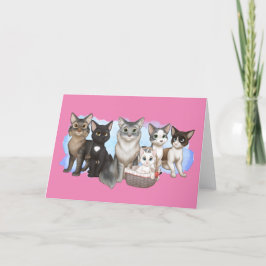 Festividades Cartão de saudação de gatos e tripulantes 5" x 7"