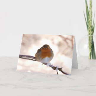 Festividades Cartão de Saudação de Natal com Robin