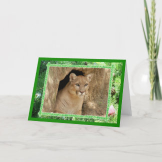 Festividades Cartão de Saudação de Natal de Cougar