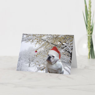 Festividades Cartão de saudação de Natal para cães