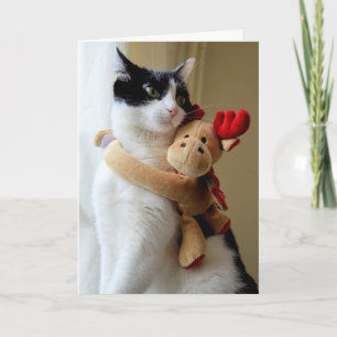 Festividades Cartão de Saudação de Natal para Gatinho Gatinho G