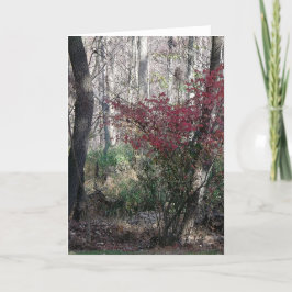 Festividades Cartão de saudação de nota de feriado