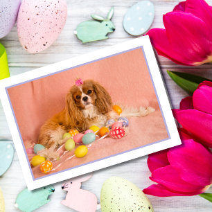 Festividades Cartão de Saudação de Páscoa Cavalier King Cha