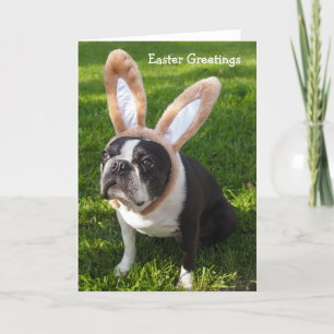 Festividades Cartão de Saudação de Páscoa Coelho Terrier 2