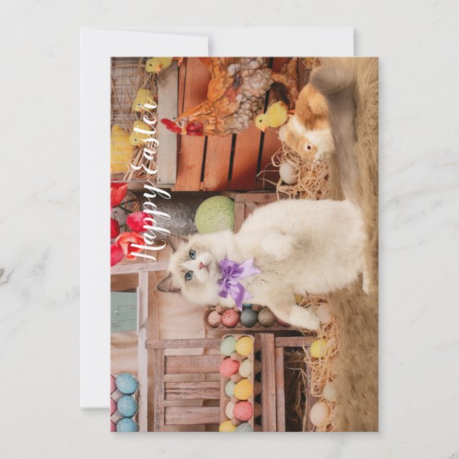 Festividades Cartão de Saudação de Páscoa Ragdoll Cat (Frente)