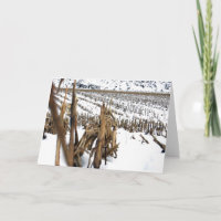 Cartão de Saudação de Poesia de Campo Corn