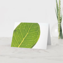 Festividades Cartão de Saudação de Textura Verde Rich Fig