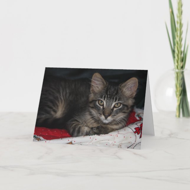 Festividades Cartão de Saudação de Vazio de Natal Cáspio (Frente)