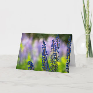 Festividades Cartão de Saudação em Branco com Lupino Roxo