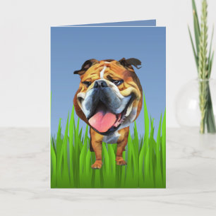 Festividades Cartão de Saudação para Bulldog Bonito