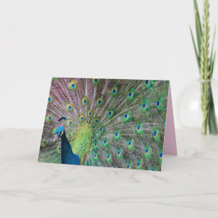 Festividades Cartão de Saudação Peacock
