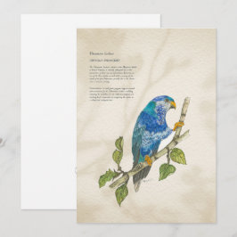 Festividades Cartão de Saudação Pintado Pintado com Lorikeet