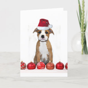 Festividades Cartão de saudação pitbull de Natal
