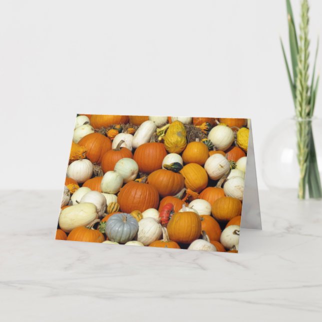 Festividades Cartão de Saudação Pumpkin (Frente)