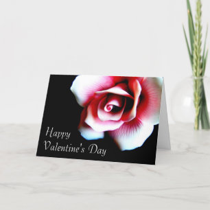 Festividades Cartão de Saudação Rosa Rosa Rosa feliz dia de os