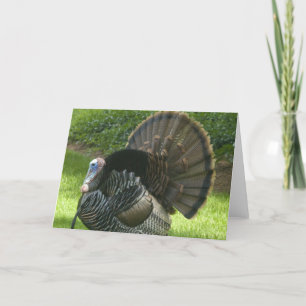 Festividades Cartão de Saudação Wild Turkey