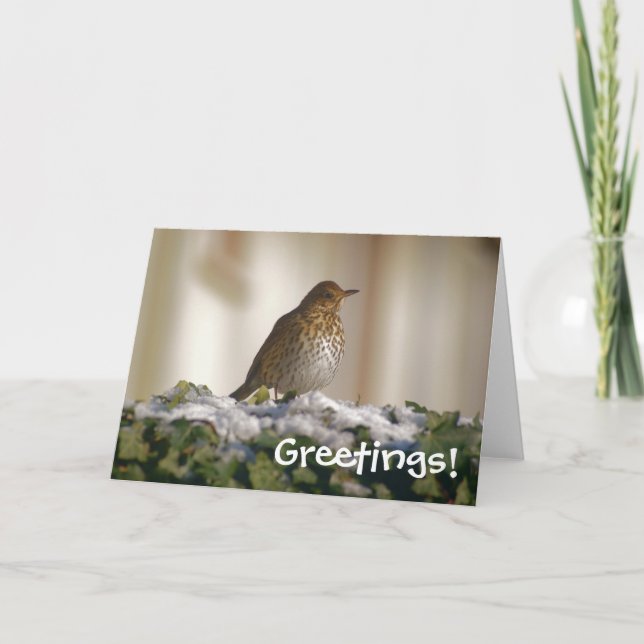 Festividades Cartão de Saudações de Song Thrush (Frente)