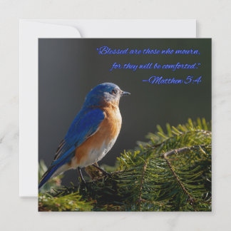 Festividades Cartão de simpatia Beautiful Bluebird Mateus 5:4
