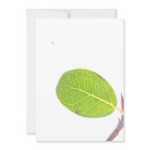Cartão de Textura Verde Rico em Fig Wild