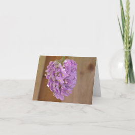 Festividades Cartão de wisteria americana (Wisteria frutescens)