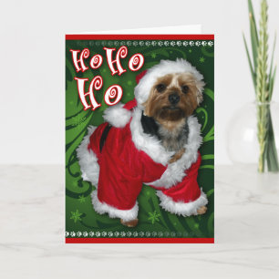 Festividades Cartão de Yorkie do papai noel