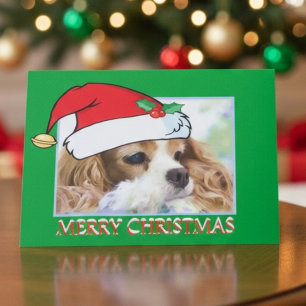 Festividades Cartão descuidado do Spaniel de rei Charles do