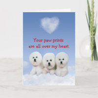 Cartão do amor de filhote de cachorro de Bichon