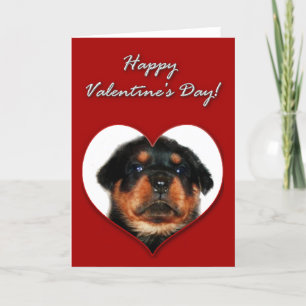 Festividades Cartão do dia dos namorados de Rottweiler