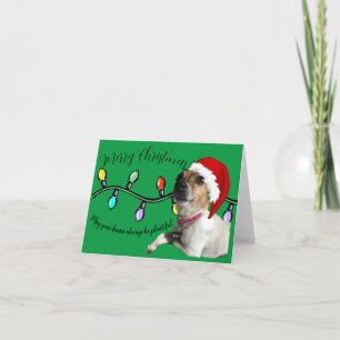 Festividades Cartão doggo de Natal
