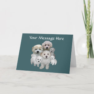 Festividades Cartão dos filhotes de cachorro de Bichon Frise