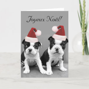 Festividades Cartão dos terrier de Joyeux Noël Boston