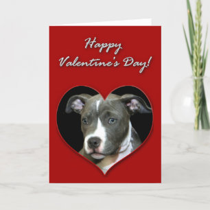 Festividades Cartão feliz do filhote de cachorro de Pitbull do