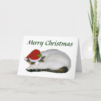 Festividades Cartão Nap de Cat Natal