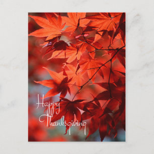 Festividades Cartão postal de Ação de Graças Comercial / Folhas