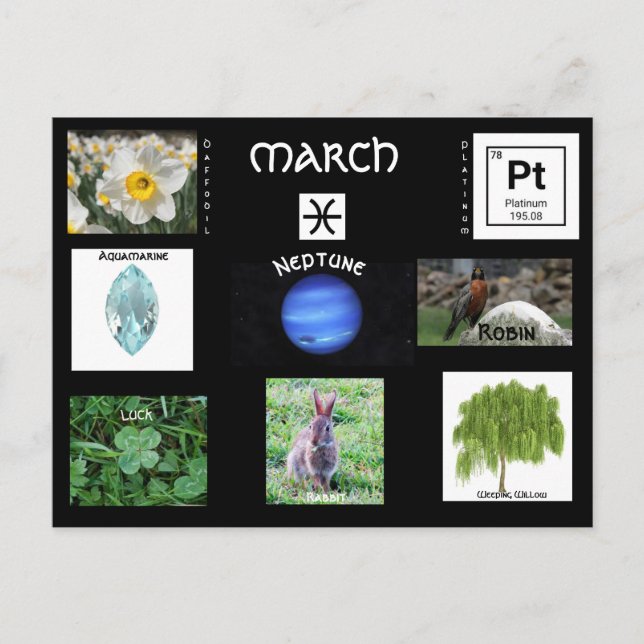 Festividades Cartão postal de aniversário para Peixes de março (Frente)