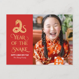 Festividades Cartão Postal De Ano Novo Da China Cobra