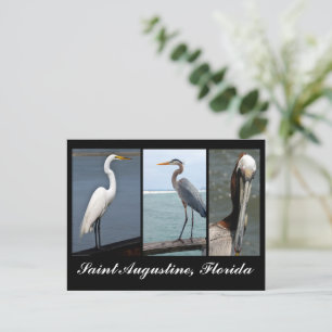 Festividades Cartão postal de férias para aves tropicais