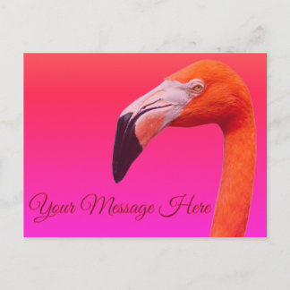 Festividades Cartão postal de flamingo