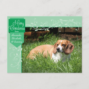 Festividades Cartão postal de foto de Natal com aba verde e flo