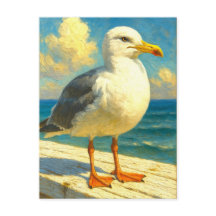 Cartão Postal de Gaivota | Arte de Pássaro de Prai