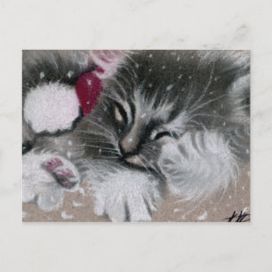 Festividades Cartão postal de Gato de papais noeis